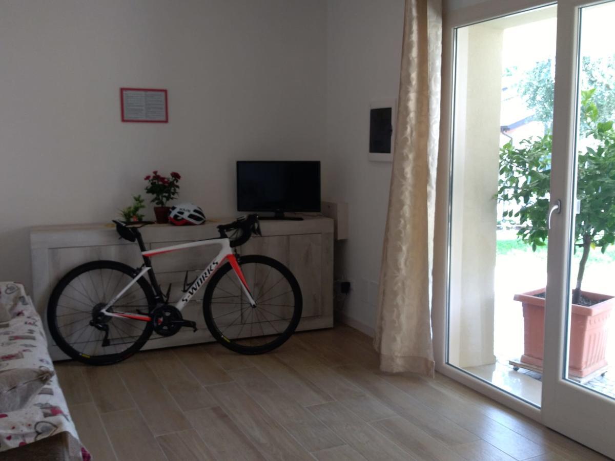 Apartment Conte Borso del Grappa Luaran gambar